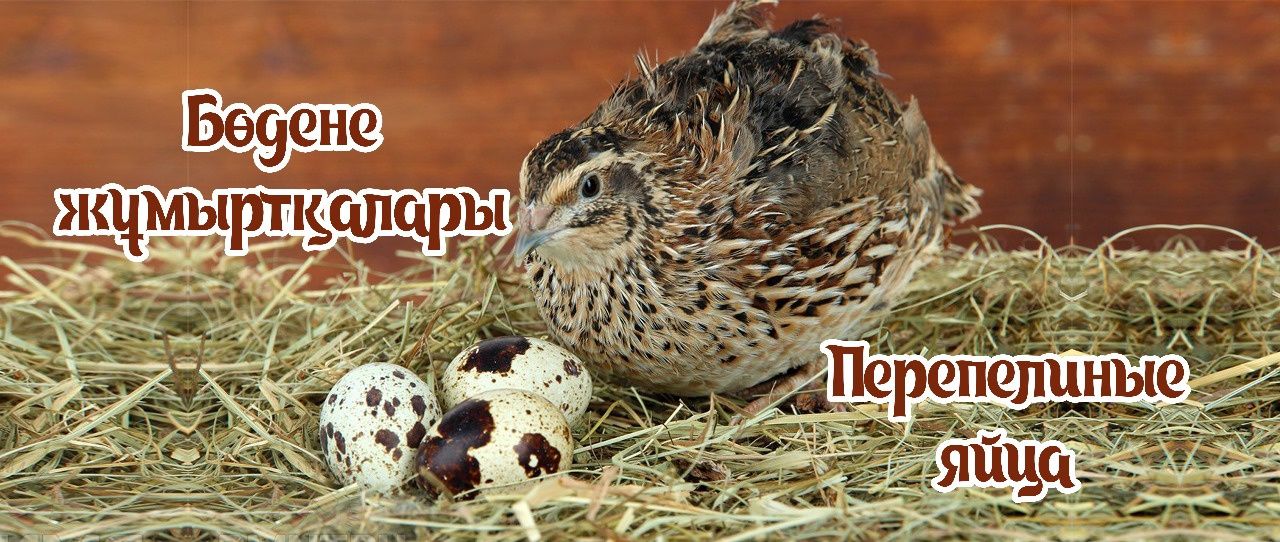 Перепелиные яйца