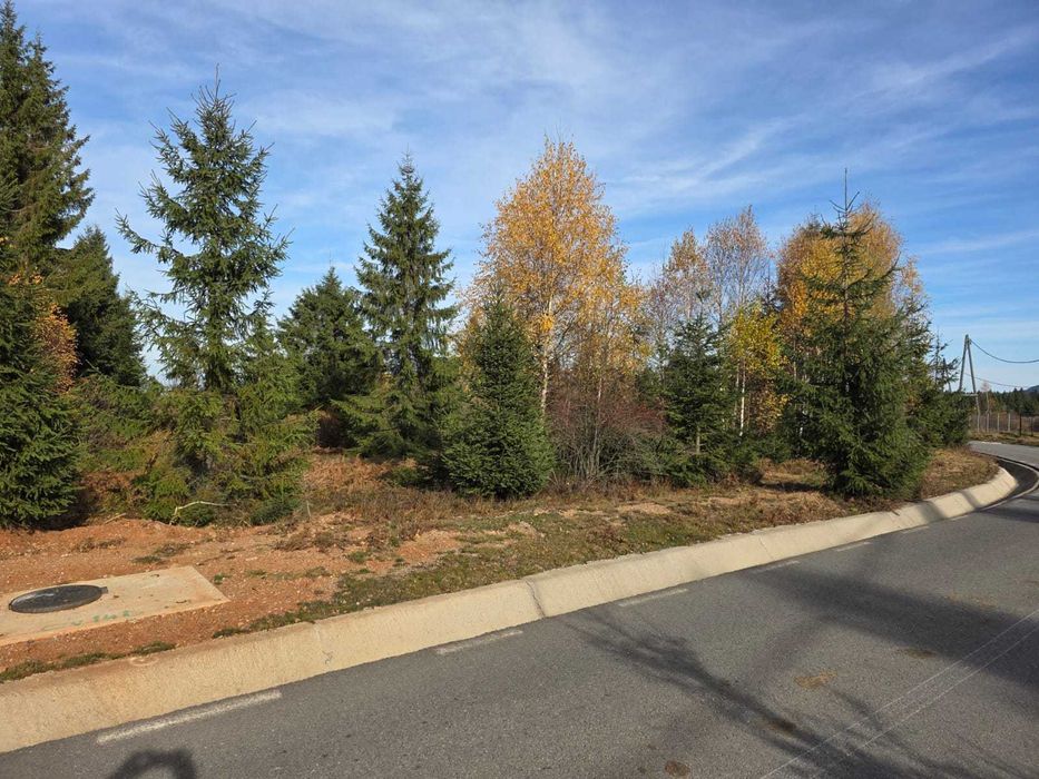 Teren Calatele Padure