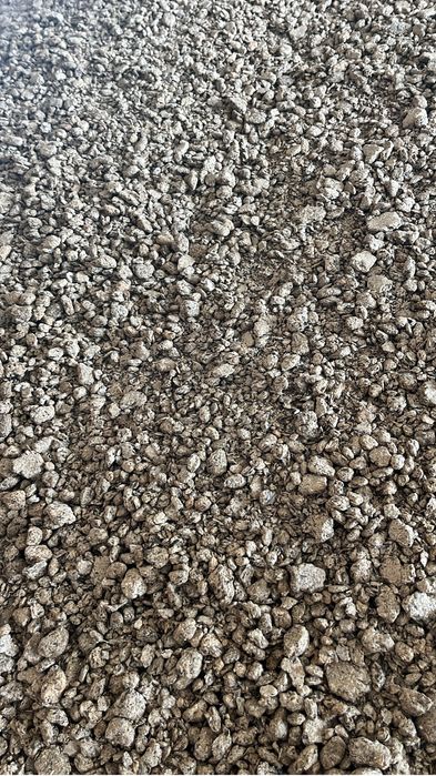 Srot de floarea soarelui