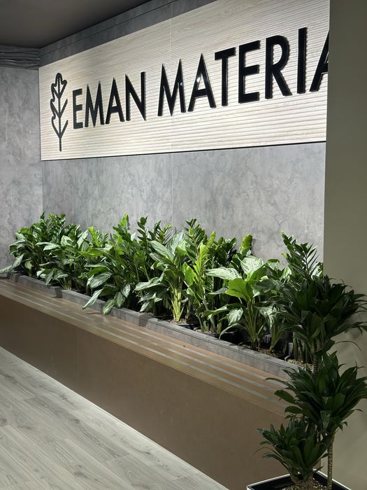 Цветы для офиса и дома в горшках оптом