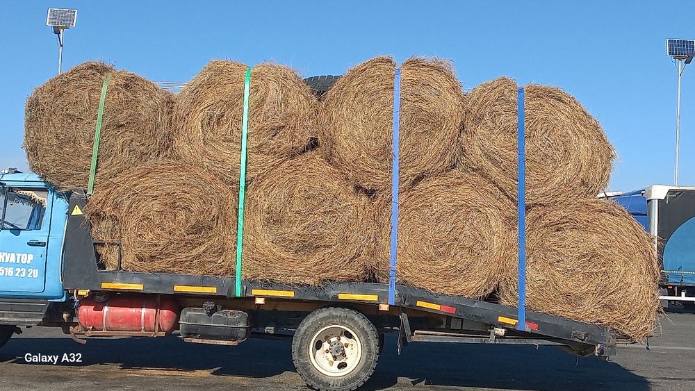 Кызылкога кырдын актык жусан аралас   рулон шоп доставка бесплат