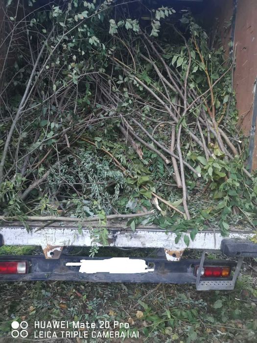 Изхвърляне на растителност 100-500лв (корени, храсти, клони и трева)