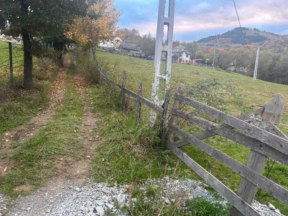 Vand teren, sat Musca