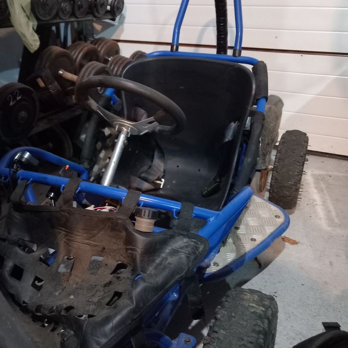 Masinută Electrica copii