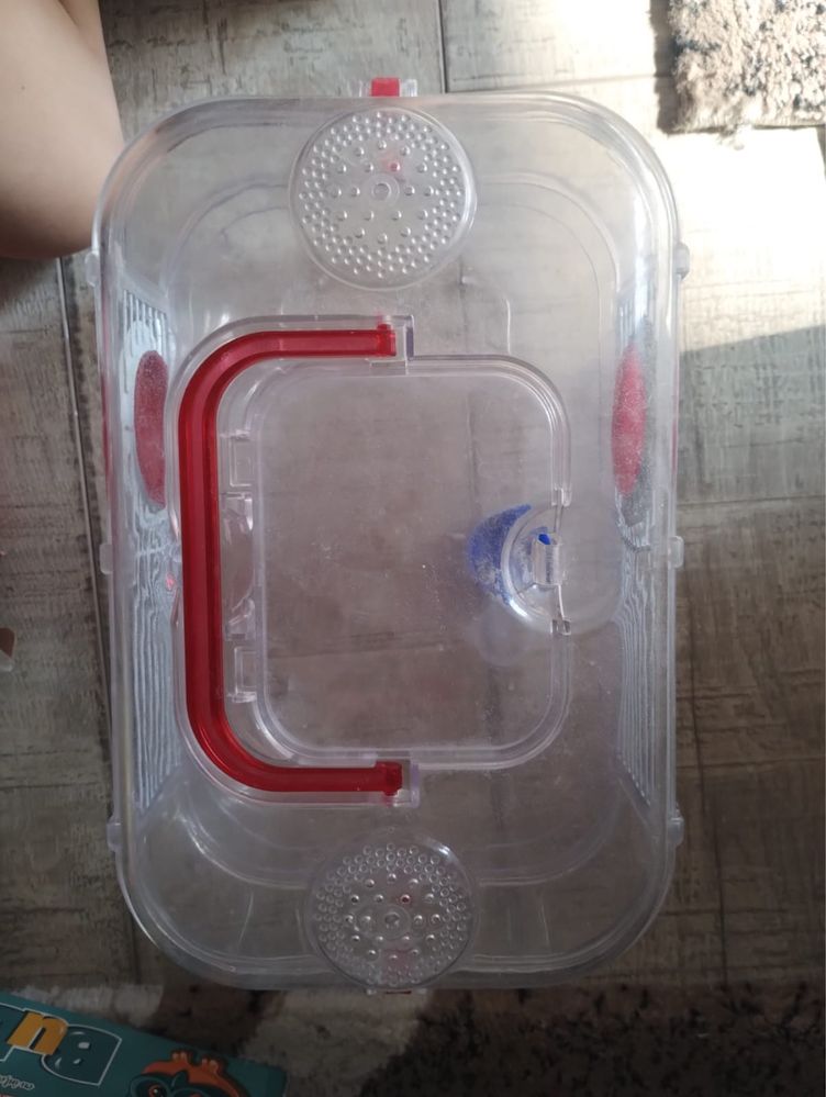 Cusca soricel sau hamster