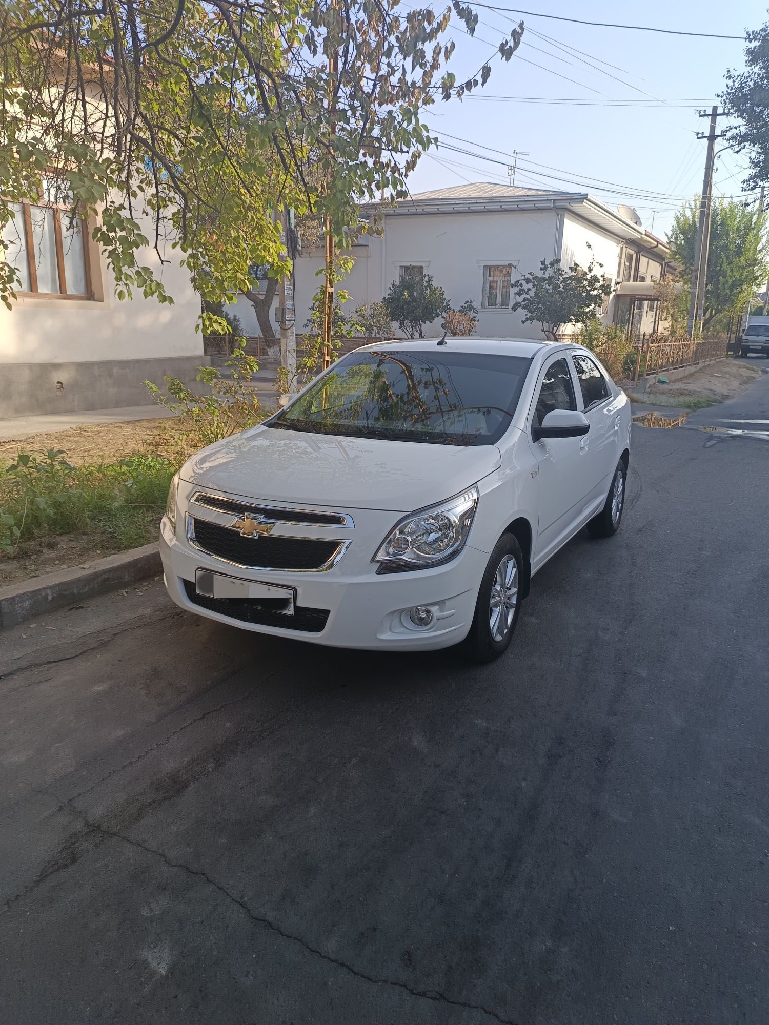 Cobalt avtomat kraskasi toza