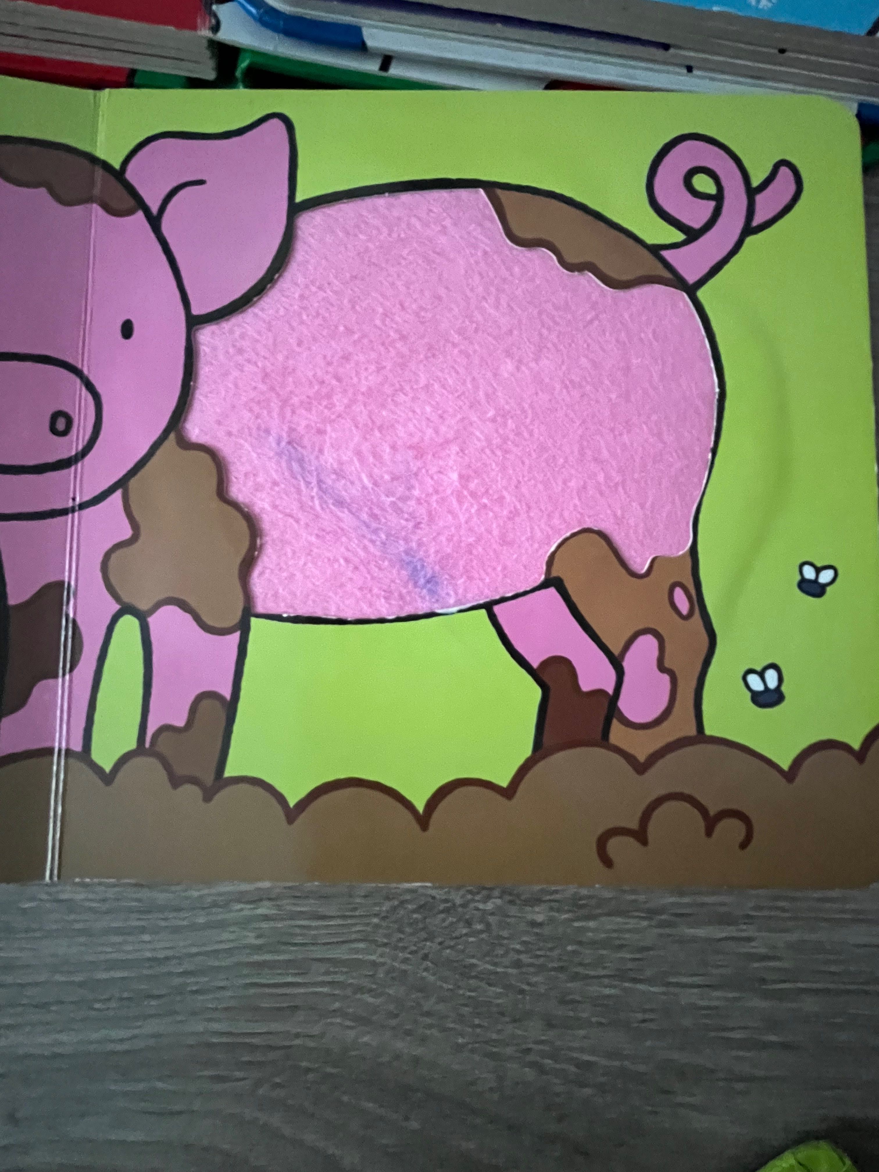 Lot Carti senzoriale Usborne in limba engleza, seria “That’s not my…”