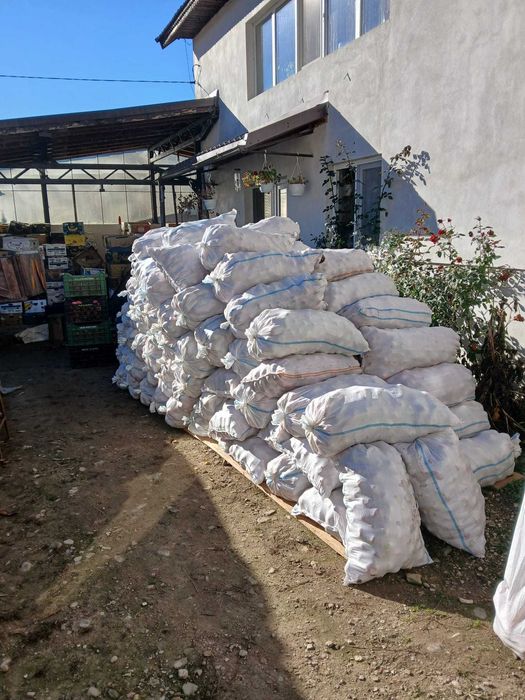 Mere suc, tuica si industrie