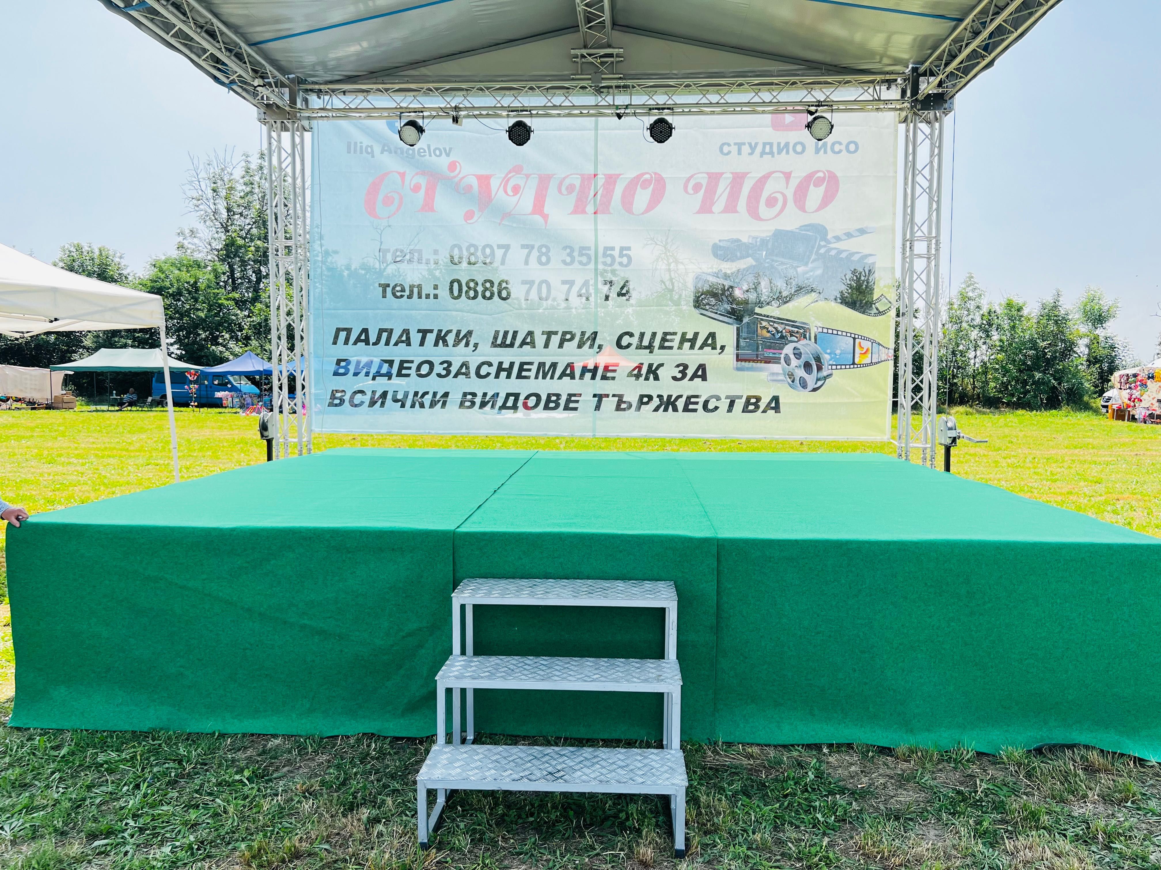 Професионална Сцена