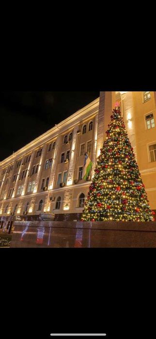 Новогодный ёлки болшие президентский! и Украшене! Елка, Katta Archa!