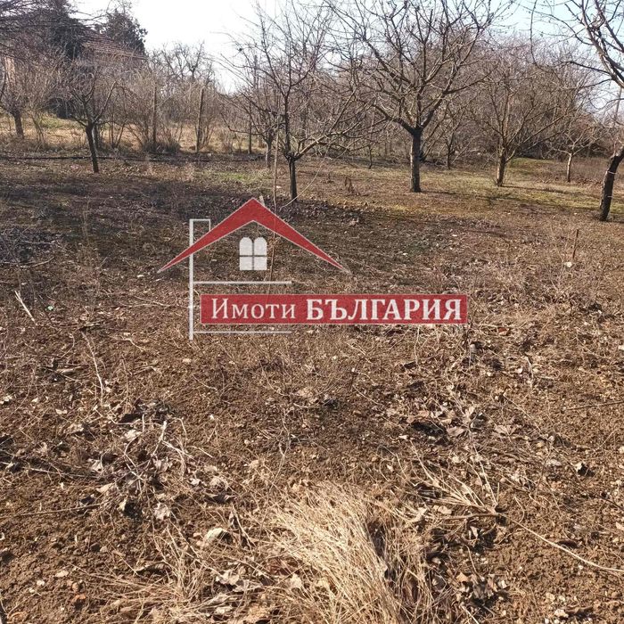 Продава се Парцел в с. Гурково, Област Добрич - 1100 кв.м за 20 €/кв.м - Снимка #2