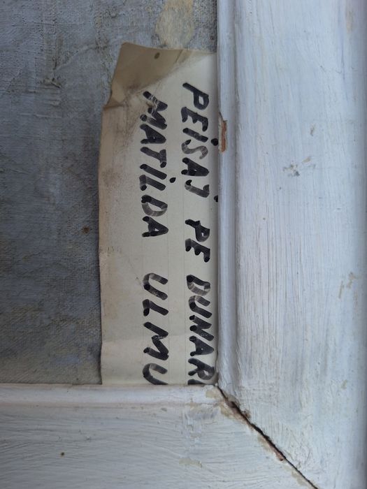 Tablou peisaj pe Dunare Matilda Ulmu