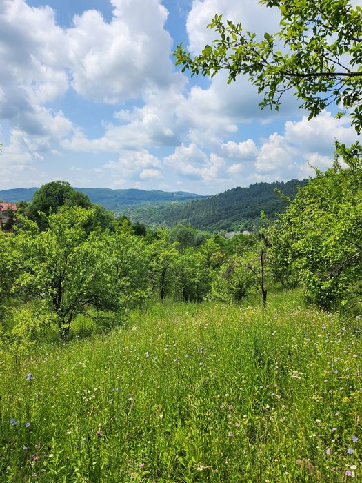 Teren munte Moroeni - Sinaia - Padina