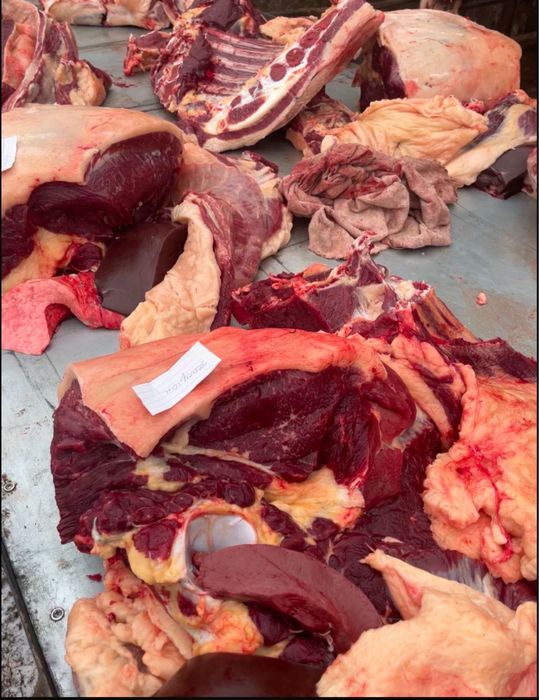 Мясо Конина Говядина Жылқы Сиыр