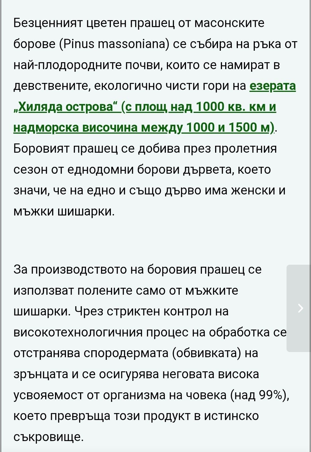 Боров прашец на годжен