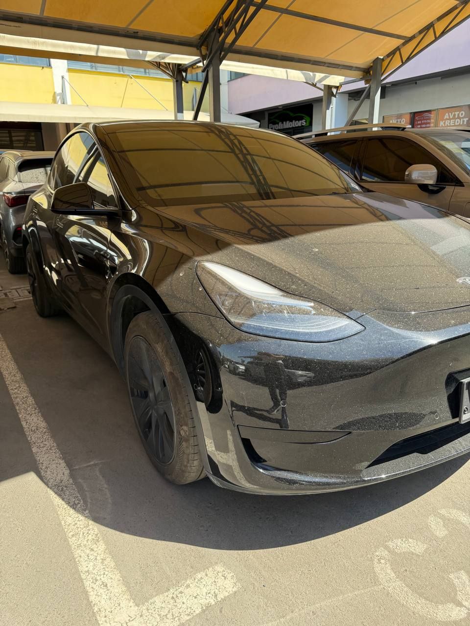 Tesla y model elektr