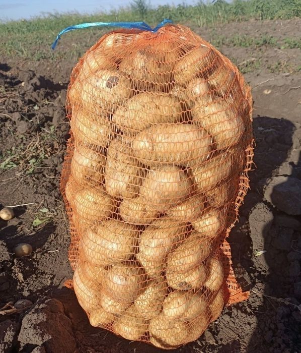 Cartofi Consum 2.2 lei