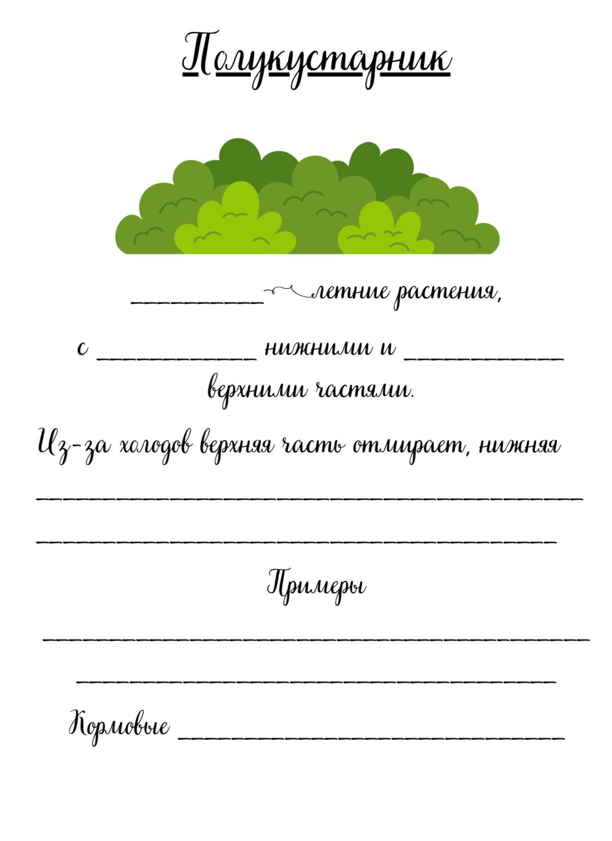 Репетитор по биологии