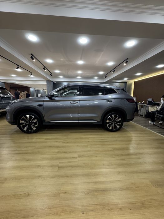 BYD Champion Plus Smart