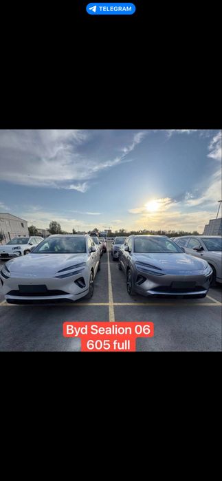 Bvd sealion 597 Flagship fuli eng arzoni bizada