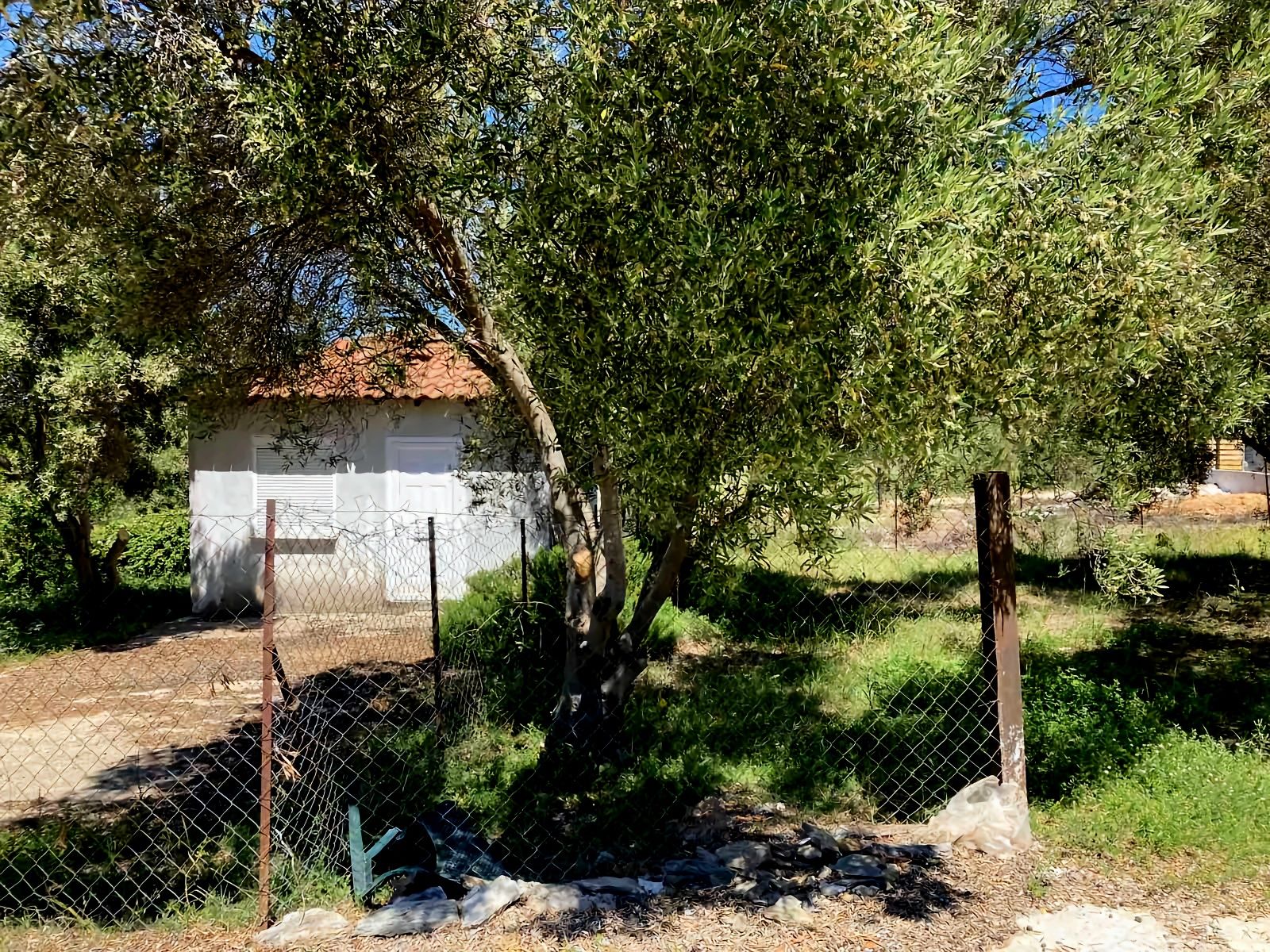 Парцел в Гърция - Халкидики - 280м2