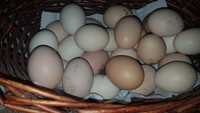 Домашний яйцо 80тенге