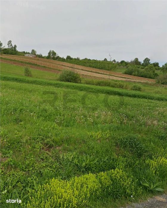 RECO Teren extravilan in Dragesti spre Stracos 7219mp