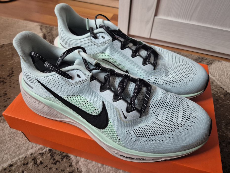 Air Zoom Pegasus 41
