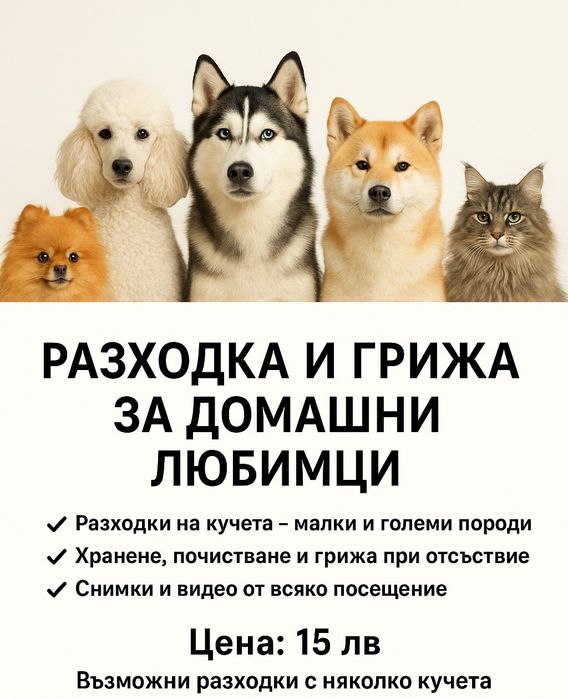 Разходка и грижа за домашни любимци