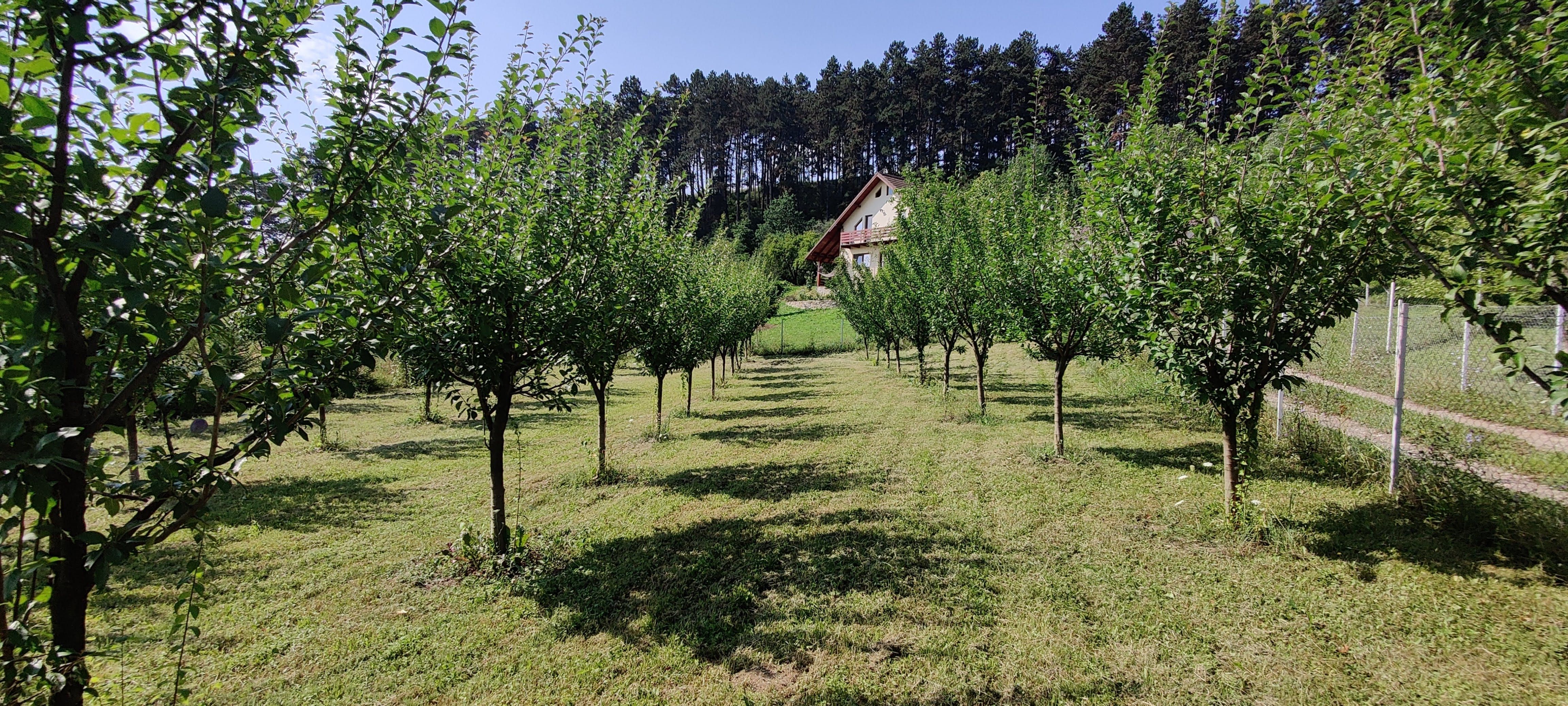 Vand teren 1000 mp zona Deal Lempes Brasov.