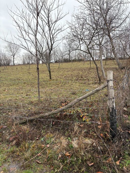 Teren Intravilan Baia de Fier