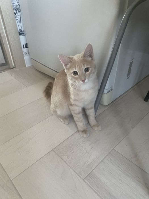 Мальчишке нужен дом.