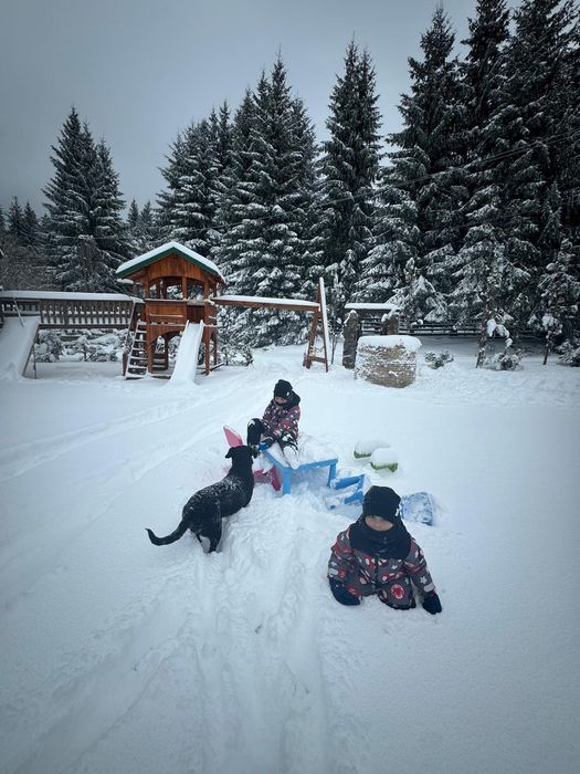 LA CABANE  - Comandau - Covasna
