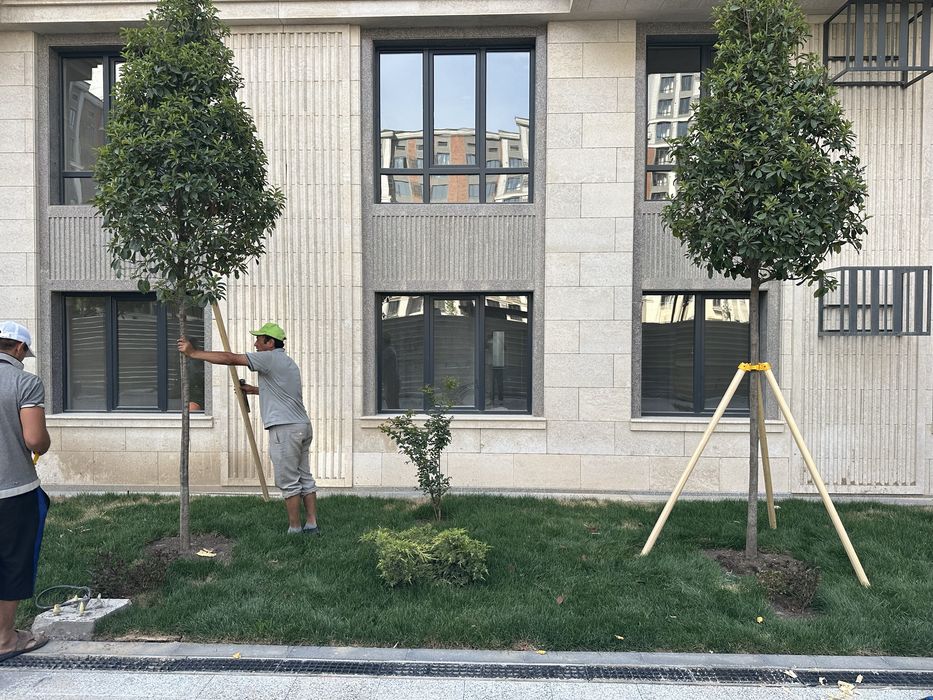 Опора для растений ( дарахтлар учун козик ва тиргаклар)