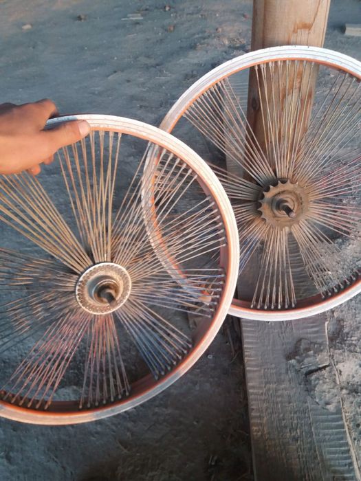 Velosaped desna qora rang