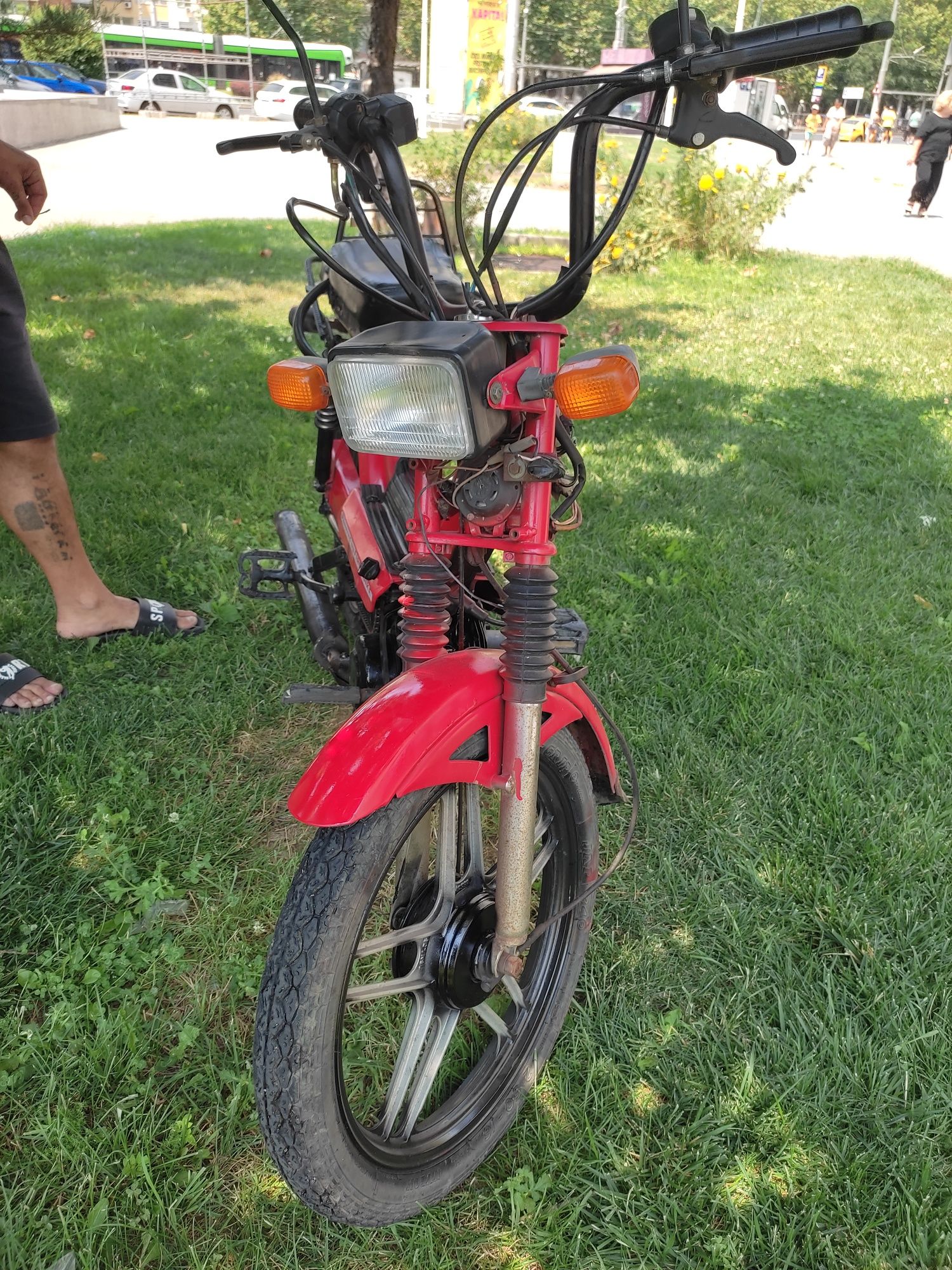 Moped froiz bike