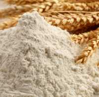 Глютен пшеничный 1300 тг за кг