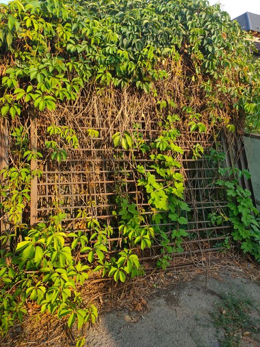 Продам решётки в виде забора