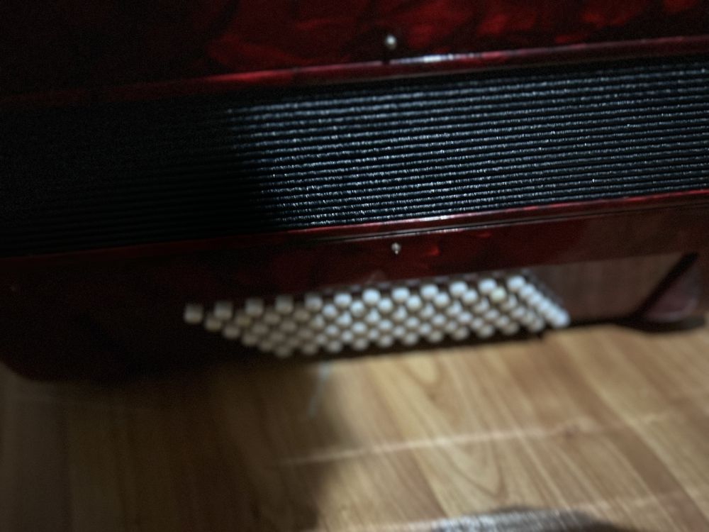 Acordeon parrot rosu top