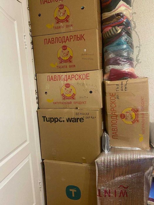 Ассортимент Одежды