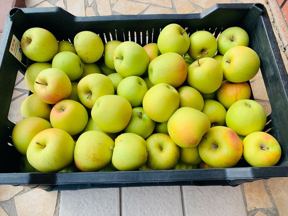 Яблоки золотое превосходное