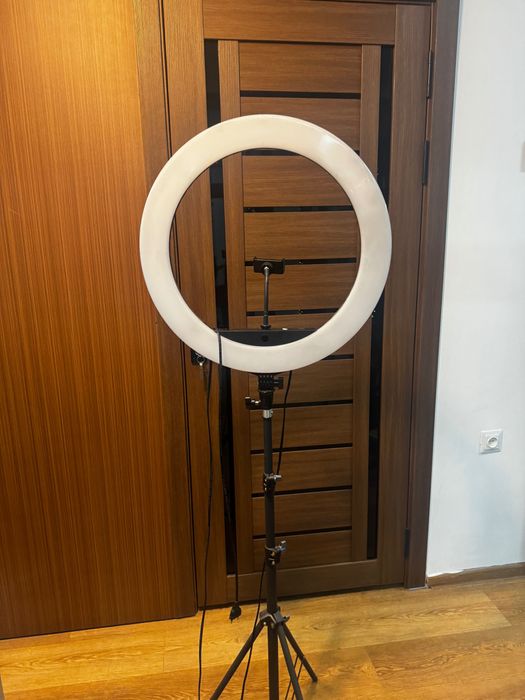 Профессиональная Кольцевая Лампа ZB-F488 55 см