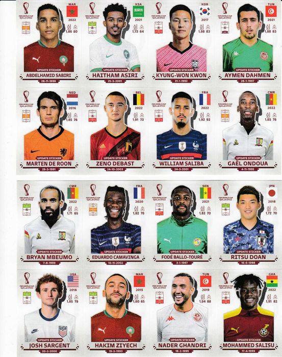 Panini FIFA World Cup Qatar 2022 Update Sticker