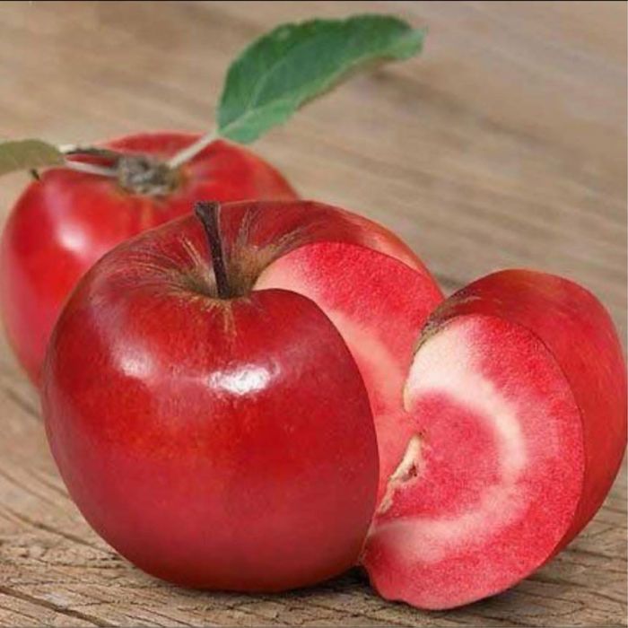 Pomi fructiferi clasici - excelență in horticultura de peste 25 de ani