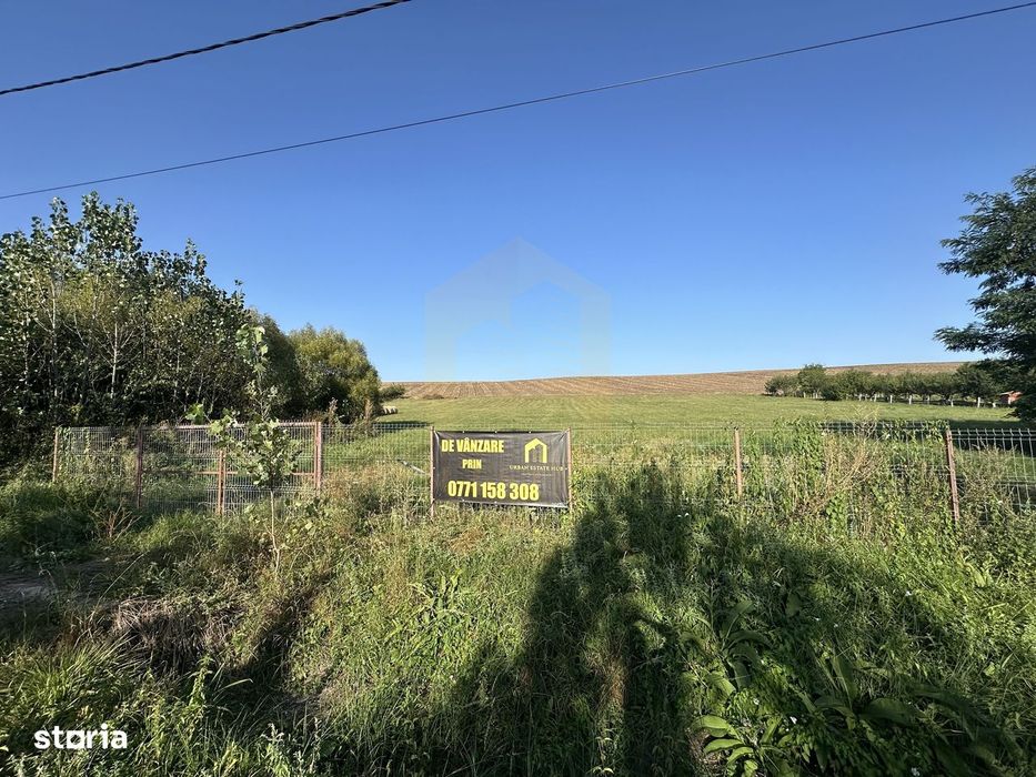 Vanzare teren 2936 mp, zona strada Dealu Fanatelor