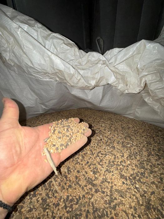 Mei și măzărică pentru păsări