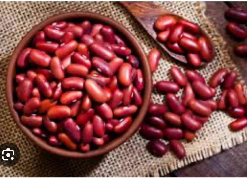 Фасоль ред кидни