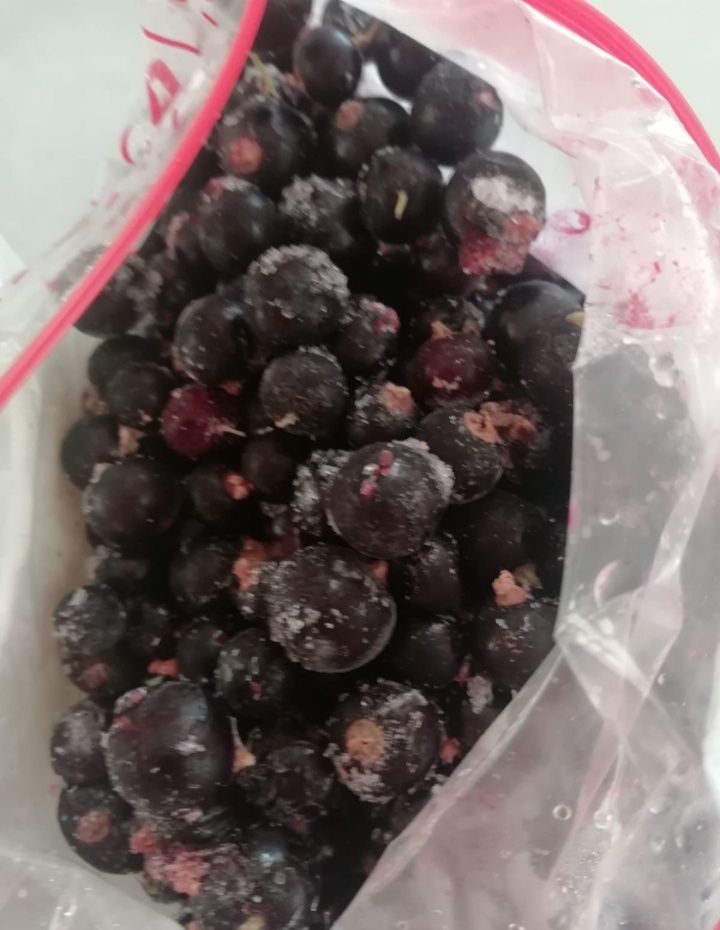 Доставка ягода жидек клубника малина вишня облепих овощи фрукт жеткізу