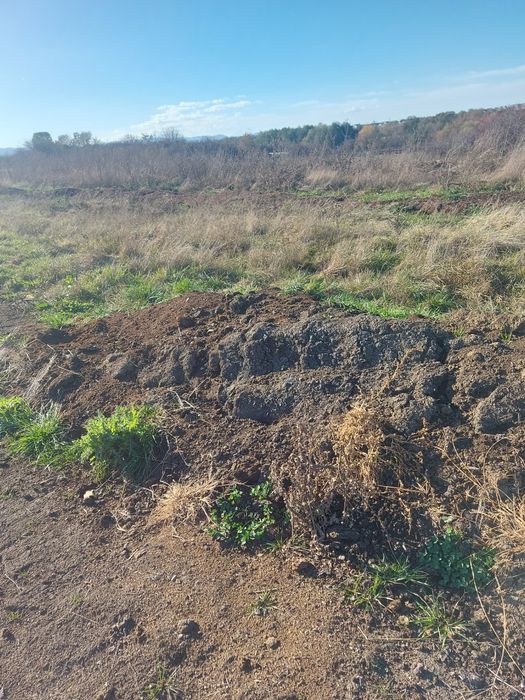 Gunoi - Compost - Mraniță