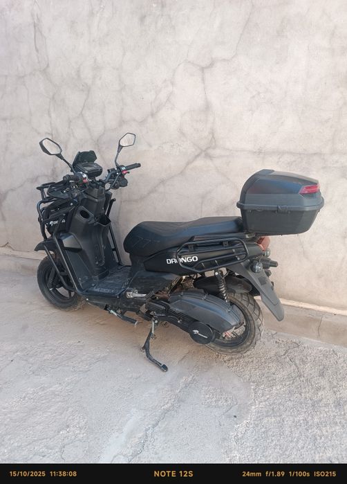 Cavalon- Tank 1 2504